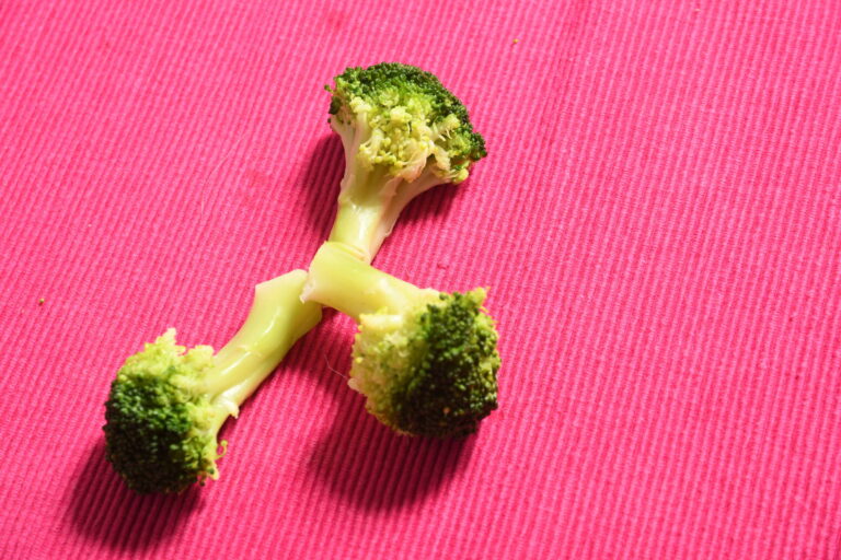 Dois morrem na Itália por suspeita de botulismo - 14/08/2025 - Equilíbrio e Saúde